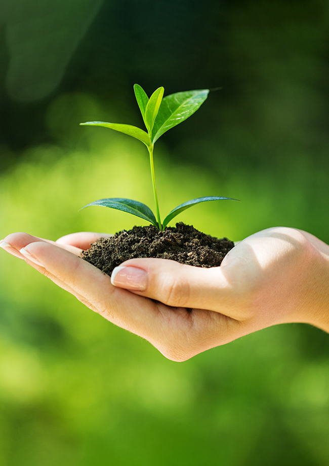 We encourage our pupils to be mindful of the environment